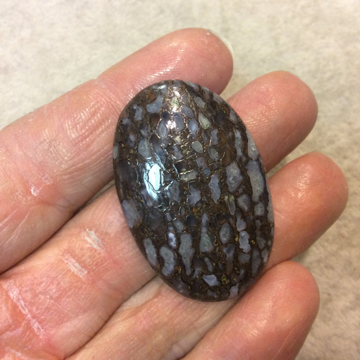 Petrified Dinosaur Bone Oblong Oval Shaped Flat Back Cabochon - Measuring 27mm x 41mm, 6mm Dome Height - Natural High Quality Gemstone