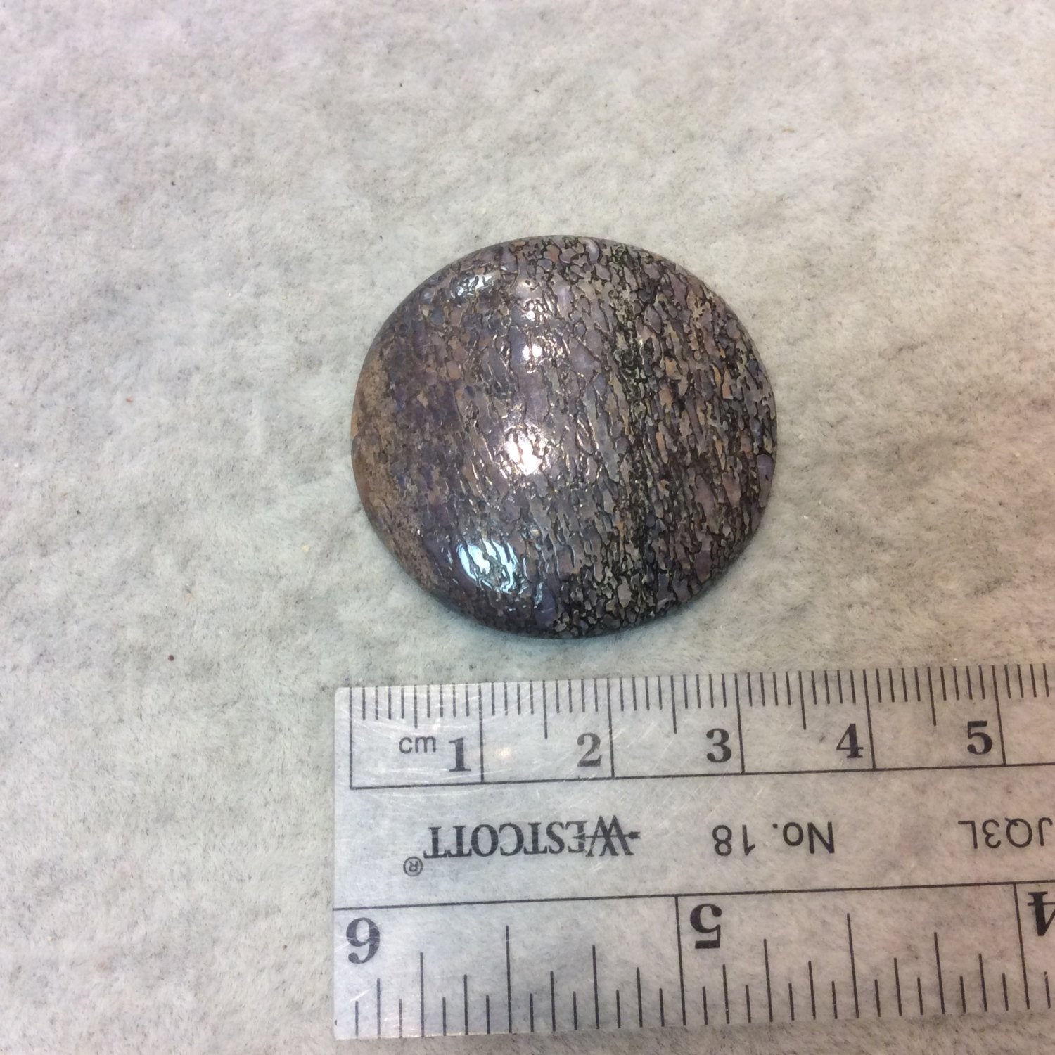 Petrified Dinosaur Bone Round/Coin Shaped Flat Back Cabochon - Measuring 35mm x 35mm, 5mm Dome Height - Natural High Quality Gemstone