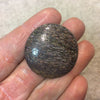Petrified Dinosaur Bone Round/Coin Shaped Flat Back Cabochon - Measuring 35mm x 35mm, 5mm Dome Height - Natural High Quality Gemstone