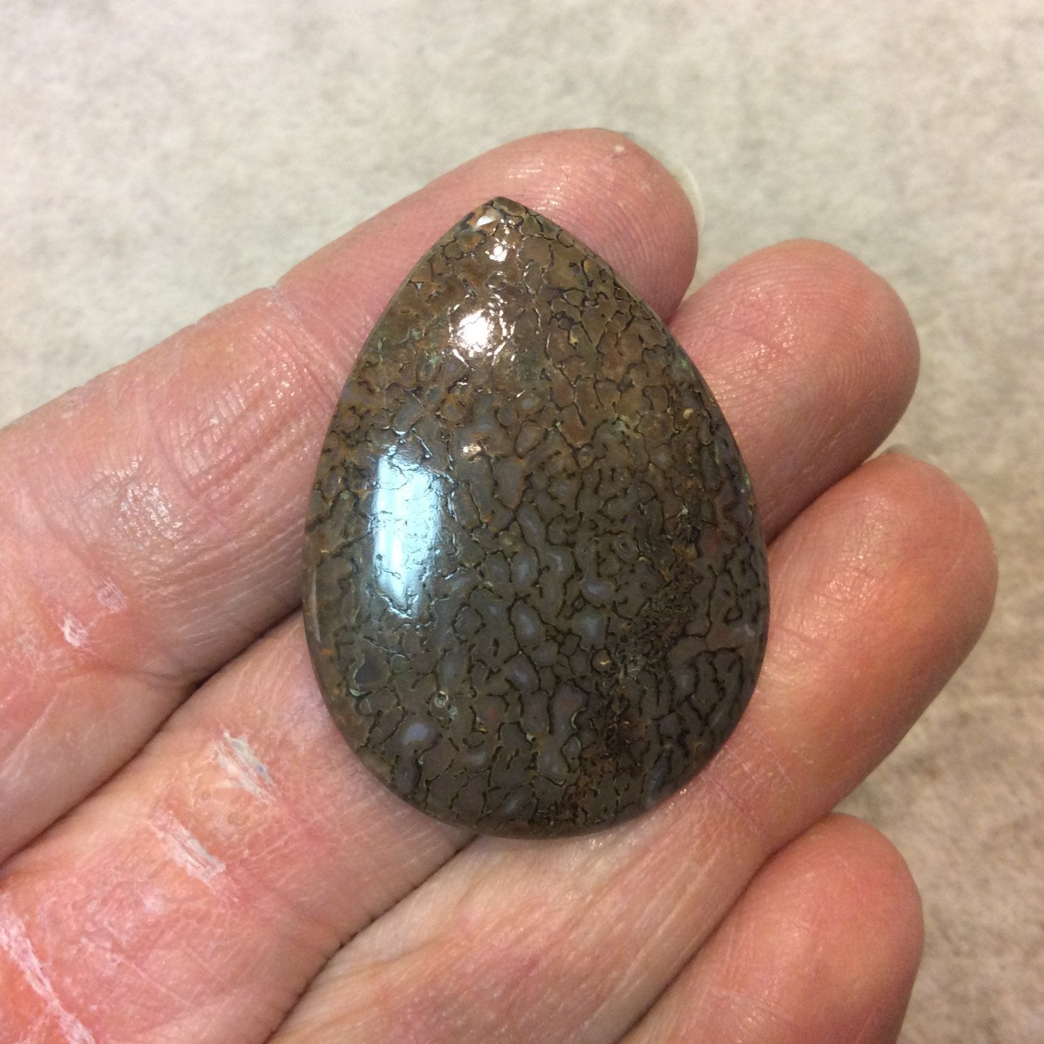 Petrified Dinosaur Bone Pear/Teardrop Shaped Flat Back Cabochon - Measuring 28mm x 38mm, 5mm Dome Height - Natural High Quality Gemstone