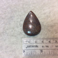 Petrified Dinosaur Bone Pear/Teardrop Shaped Flat Back Cabochon - Measuring 28mm x 42mm, 5mm Dome Height - Natural High Quality Gemstone