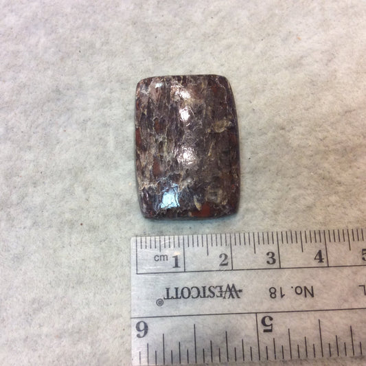 Petrified Dinosaur Bone Rectangle Shaped Flat Back Cabochon - Measuring 23mm x 33mm, 5mm Dome Height - Natural High Quality Gemstone