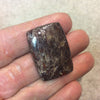 Petrified Dinosaur Bone Rectangle Shaped Flat Back Cabochon - Measuring 23mm x 33mm, 5mm Dome Height - Natural High Quality Gemstone