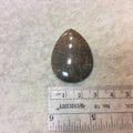 Petrified Dinosaur Bone Pear/Teardrop Shaped Flat Back Cabochon - Measuring 28mm x 38mm, 5mm Dome Height - Natural High Quality Gemstone