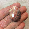 Snakeskin Jasper Oblong Oval Shaped Flat Back Cabochon - Measuring 24mm x 34mm, 4mm Dome Height - Natural High Quality Gemstone