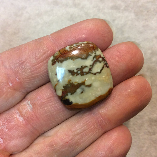 American Picture Jasper Cushion Shaped Flat Back Cabochon - Measuring 23mm x 25mm, 5mm Dome Height - Natural High Quality Gemstone