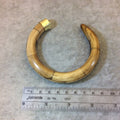 3.5" Light Brown Curved Round Tusk/Claw Shaped Natural Ox Bone Pendant with Plain Gold Cap - Measuring 83mm x 90mm, Approx.