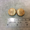 Matching Pair of Picture Jasper Round Shaped Flat Back Cabochons - Measuring 24mm x 24mm, 4mm Dome Height - Natural High Quality Gemstone