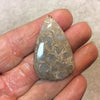 Fossil Coral Pear/Teardop Shaped Flat Back Cabochon - Measuring 27mm x 42mm, 5mm Dome Height - Natural High Quality Gemstone