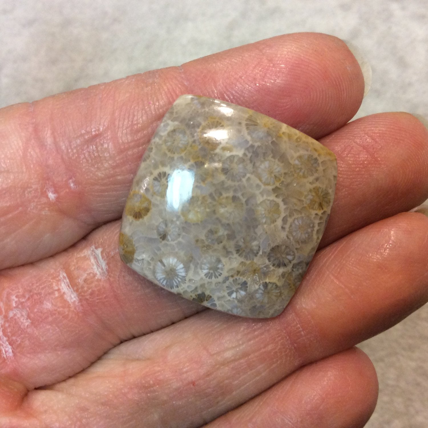 Fossil Coral Square Cushion Shaped Flat Back Cabochon - Measuring 26mm x 27mm, 6mm Dome Height - Natural High Quality Gemstone