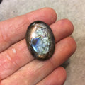 Purple Labradorite Oblong Oval Shaped Flat Back Cabochon - Measuring 21mm x 30mm, 6mm Dome Height - Natural High Quality Gemstone