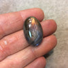 Purple Labradorite Oblong Oval Shaped Flat Back Cabochon - Measuring 18mm x 27.5mm, 8mm Dome Height - Natural High Quality Gemstone