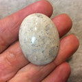 Premium Fossil Coral Oblong Oval Shaped Flat Back Cabochon - Measuring 28mm x 37mm, 8mm Dome Height - Natural High Quality Gemstone