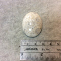 Premium Fossil Coral Oblong Oval Shaped Flat Back Cabochon - Measuring 28mm x 37mm, 8mm Dome Height - Natural High Quality Gemstone