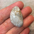 Premium Fossil Coral Freeform Petal Shaped Flat Back Cabochon - Measuring 21mm x 35mm, 7mm Dome Height - Natural High Quality Gemstone