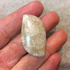 Dual Sided Premium Fossil Coral Marquis Shaped Flat Back Cabochon - Measuring 22mm x 41mm, 8mm Dome Height - Natural High Quality Gemstone