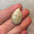 Premium Fossil Coral Pear/Teardrop Shaped Flat Back Cabochon - Measuring 19mm x 28mm, 6mm Dome Height - Natural High Quality Gemstone