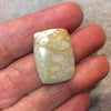 Premium Fossil Coral Rectangle Pillow Shaped Flat Back Cabochon - Measuring 20mm x 27mm, 5mm Dome Height - Natural High Quality Gemstone
