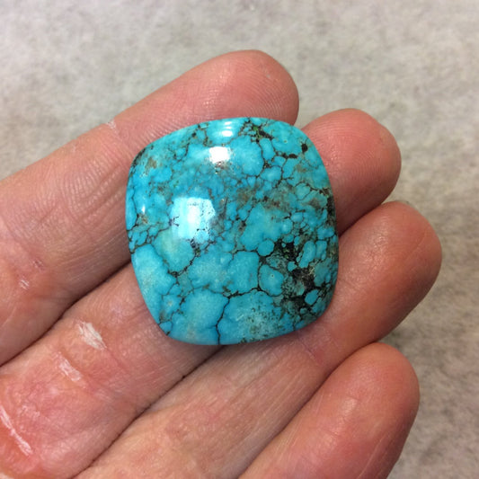 Chinese Stabilized Turquoise Cushion Shaped Flat Back Cabochon - Measuring 27mm x 29mm, 6mm Dome Height - Natural High Quality Gemstone