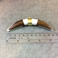 4.25" White/Brown Bicolor Thick Banana Crescent Shaped Natural Bone/Wood Pendant with Gold Bail - Measuring 17mm x 110mm - (TR115)