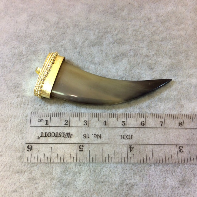 SALE 2.75" Brown Curved Flat Tusk/Claw Shaped Natural Horn Pendant with Bright Gold Dotted Cap - Measuring 26mm x 70mm, Approx.