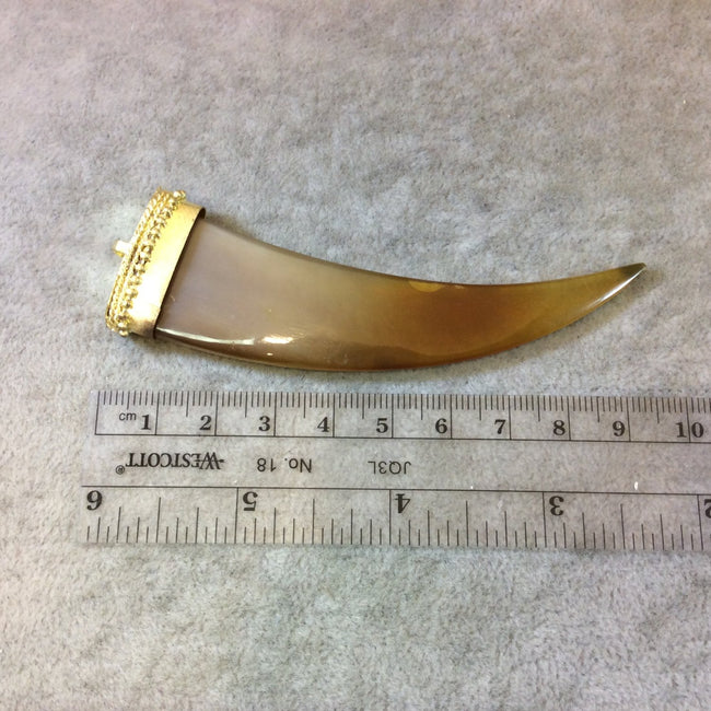 SALE 3.5" Brown Curved Flat Tusk/Claw Shaped Natural Horn Pendant with Bright Gold Dotted Cap - Measuring 26mm x 90mm, Approx.