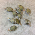 Silver Finish Faceted Freeform Natural Eagle Eye Bezel Connector - Measuring 10mm x 14mm, Approx. - Sold Individually, Selected Randomly