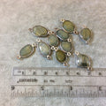 Silver Finish Faceted Freeform Natural Eagle Eye Bezel Connector - Measuring 10mm x 14mm, Approx. - Sold Individually, Selected Randomly