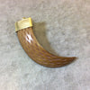 SALE - 2.5" Claw Shaped Brown Acrylic Pendant with Carved Notches and Bright Gold Finish Cap - Measuring 18mm x 72mm, Approx.