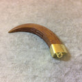 SALE - 2.5" Claw Shaped Brown Acrylic Pendant with Carved Leaves and Bright Gold Finish Cap - Measuring 18mm x 72mm, Approx.