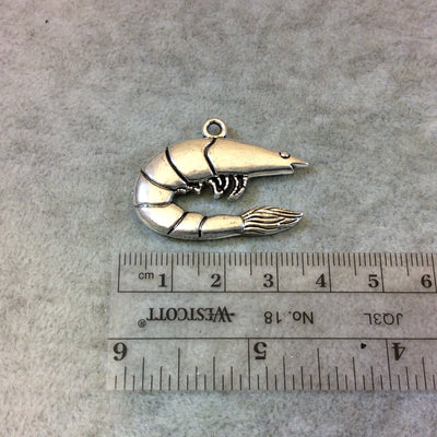 1" Long Tibetan Silver Curved Detailed Shrimp Shaped Focal Charm/Pendant - 35mm x 21mm with Attached Ring - Sold Individually (A16663)