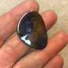 OOAK Freeform Shaped Australian Boulder Opal Curved Back Cabochon - Measuring 24mm x 33mm, 5mm Dome Height - Natural High Quality Gemstone