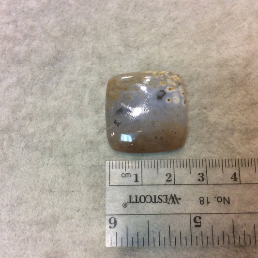 Ocean Jasper Rectangle Shaped Flat Back Cabochon - Measuring 27mm x 26mm, 5mm Dome Height - Natural High Quality Gemstone