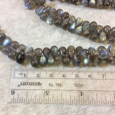 10mm Smooth Teardrop Shaped Labradorite Beads