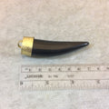 SALE - 2.5" Slightly Flattened Tusk/Claw Shaped Black Acrylic Pendant with Gold Floral Cap - Measuring 18mm x 70mm, Approx.