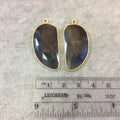 One Pair of OOAK Gold Finish Faceted Sapphire Freeform/Tusk Shaped Bezel Pendants "SP2"- Measuring 17mm x 32mm - Semi-precious Gemstone