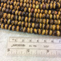 5mm x 8mm Natural Brown Tiger Eye Smooth Finish Rondelle Shaped Beads with 2.5mm Holes - 7.75" Strand (Approx. 36 Beads) - LARGE HOLE BEADS