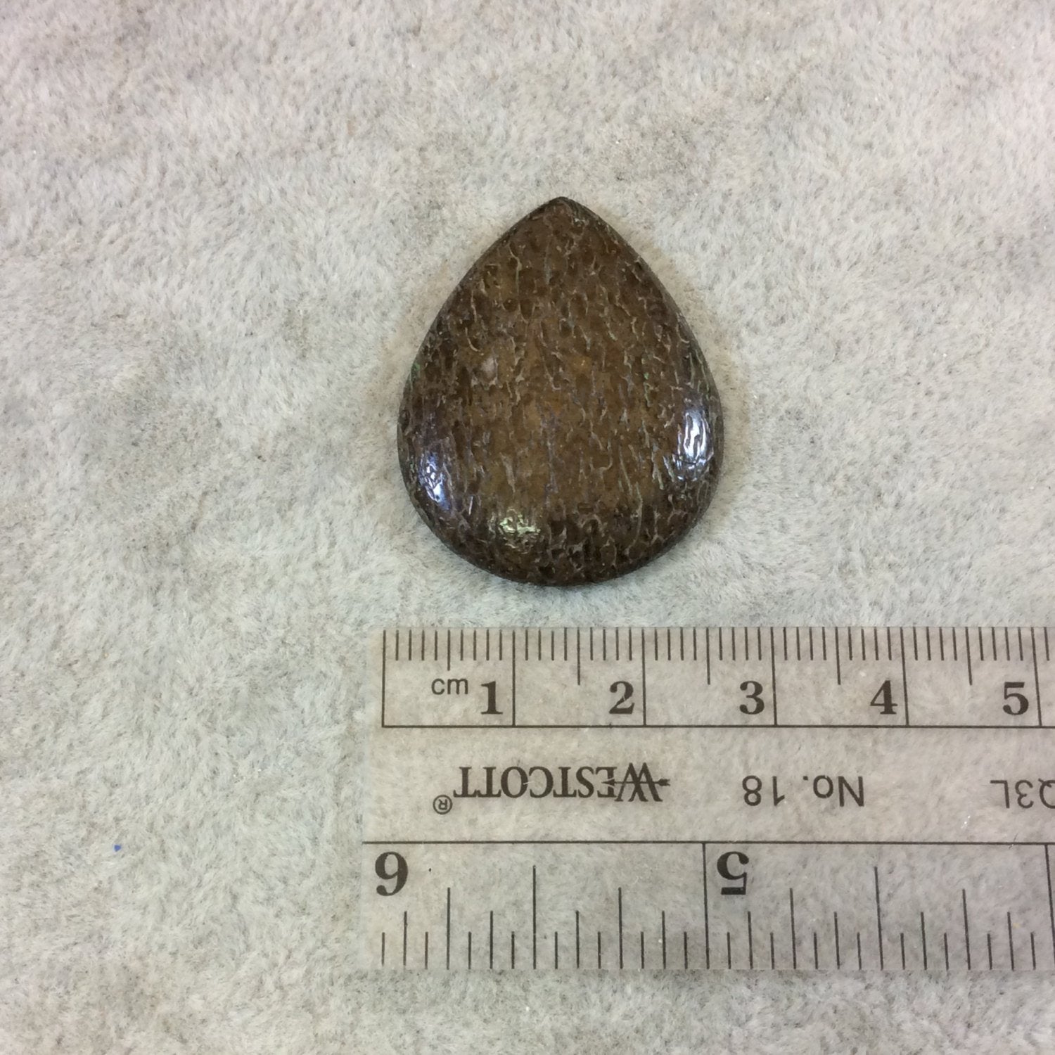 Petrified Dinosaur Bone Pear/Teardrop Shaped Flat Back Cabochon - Measuring 26mm x 33mm, 4mm Dome Height - Natural High Quality Gemstone