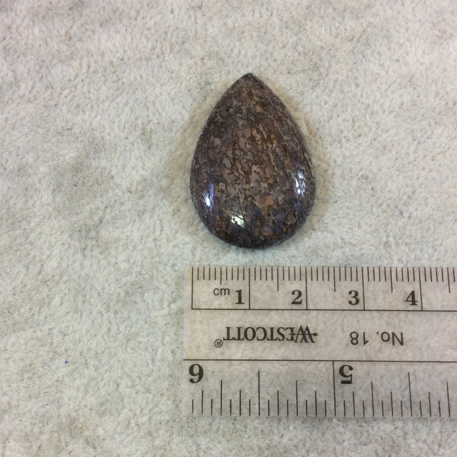 Petrified Dinosaur Bone Pear/Teardrop Shaped Flat Back Cabochon - Measuring 23mm x 34mm, 5mm Dome Height - Natural High Quality Gemstone