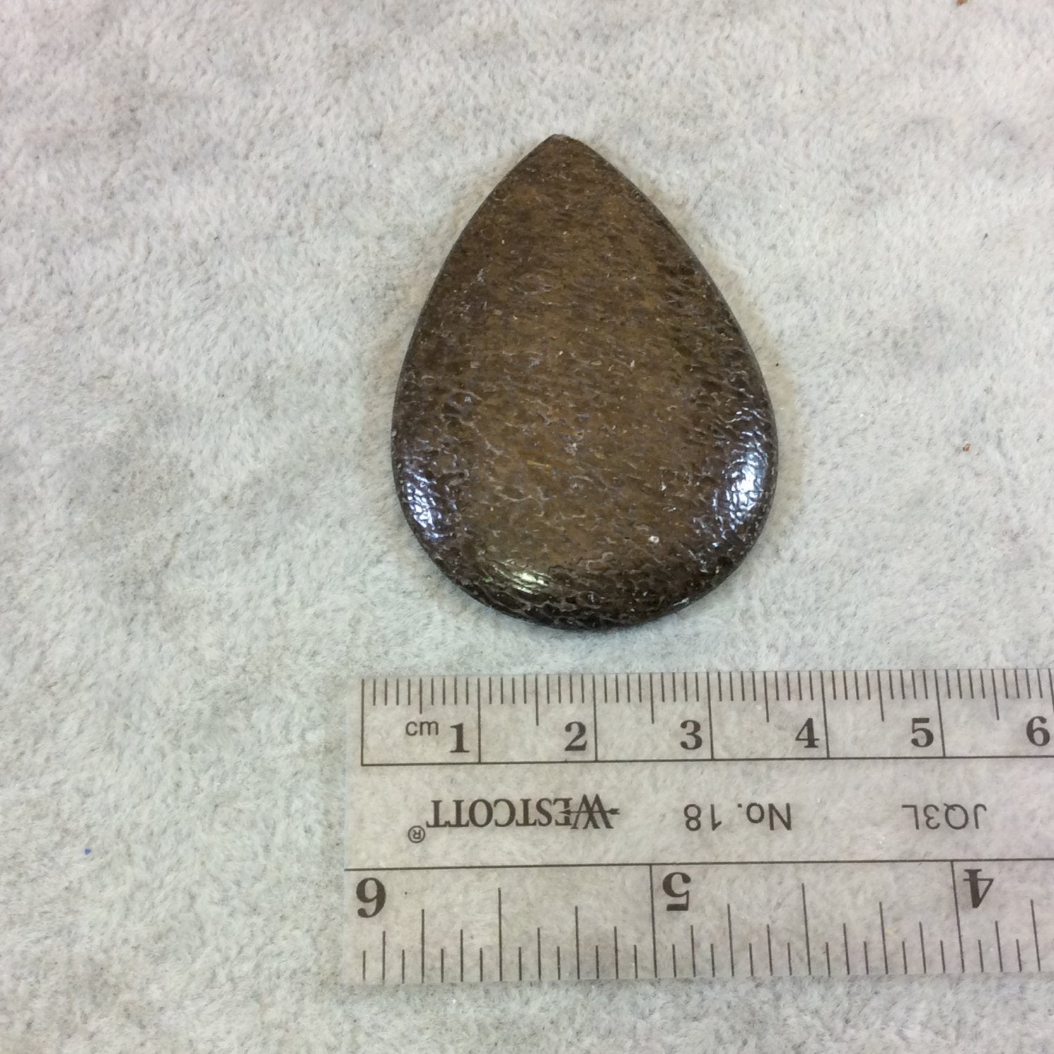 Petrified Dinosaur Bone Pear/Teardrop Shaped Flat Back Cabochon - Measuring 36mm x 49mm, 4mm Dome Height - Natural High Quality Gemstone