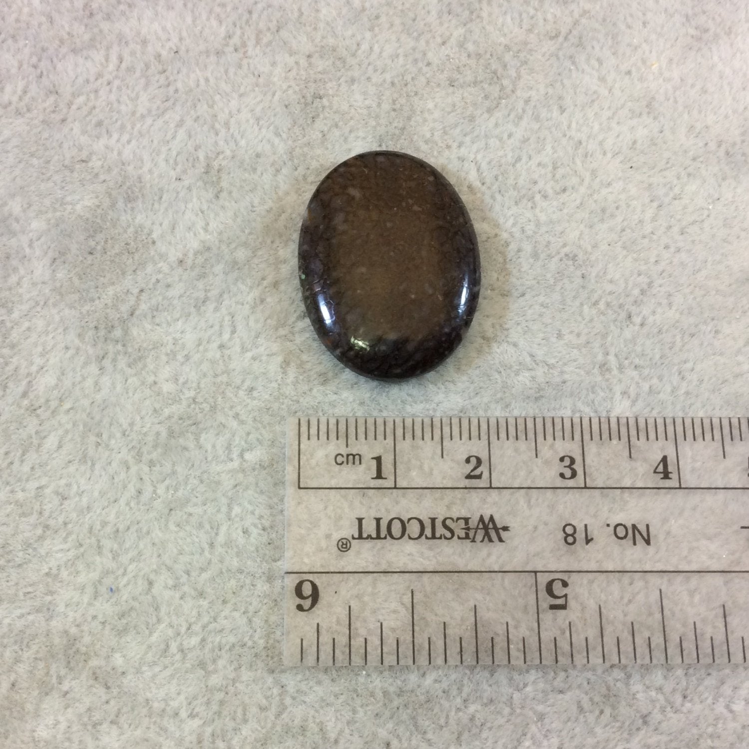 Petrified Dinosaur Bone Oblong Oval Shaped Flat Back Cabochon - Measuring 20mm x 27mm, 4.5mm Dome Height - Natural High Quality Gemstone