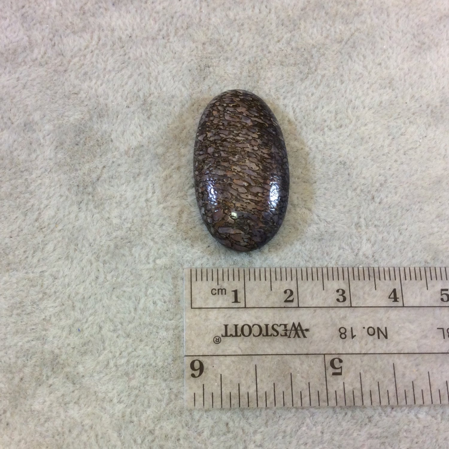 Petrified Dinosaur Bone Oblong Oval Shaped Flat Back Cabochon - Measuring 19mm x 34mm, 7mm Dome Height - Natural High Quality Gemstone