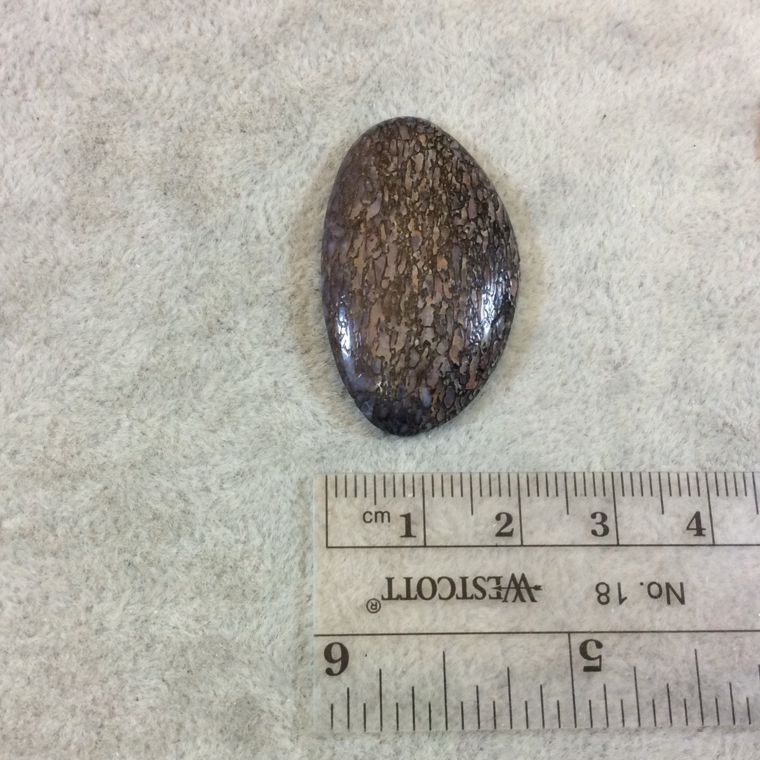 Petrified Dinosaur Bone Freeform Shaped Flat Back Cabochon - Measuring 22mm x 38mm, 5mm Dome Height - Natural High Quality Gemstone