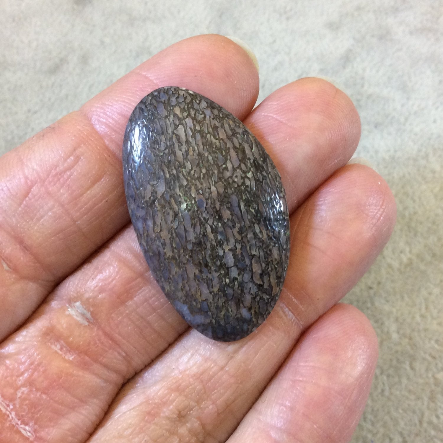 Petrified Dinosaur Bone Freeform Shaped Flat Back Cabochon - Measuring 22mm x 38mm, 5mm Dome Height - Natural High Quality Gemstone