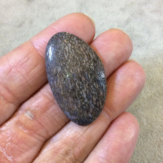 Petrified Dinosaur Bone Freeform Shaped Flat Back Cabochon - Measuring 22mm x 38mm, 5mm Dome Height - Natural High Quality Gemstone