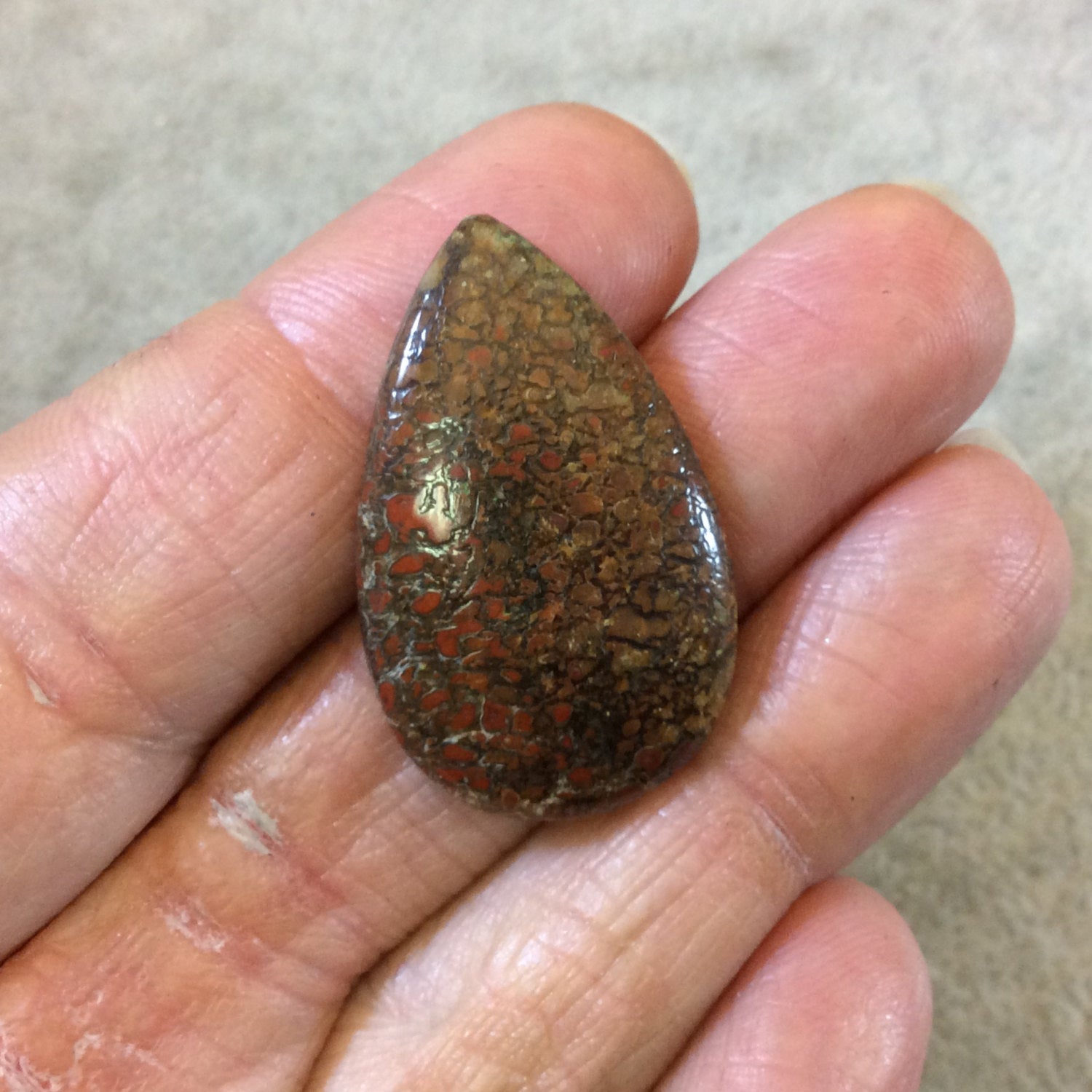 Petrified Dinosaur Bone Pear/Teardrop Shaped Flat Back Cabochon - Measuring 21mm x 33mm, 4mm Dome Height - Natural High Quality Gemstone