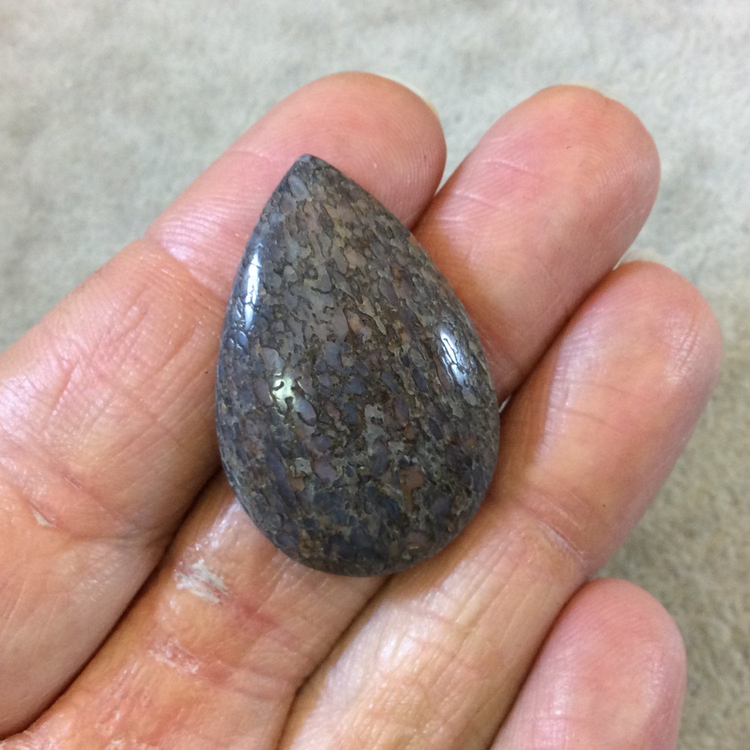 Petrified Dinosaur Bone Pear/Teardrop Shaped Flat Back Cabochon - Measuring 23mm x 34mm, 5mm Dome Height - Natural High Quality Gemstone