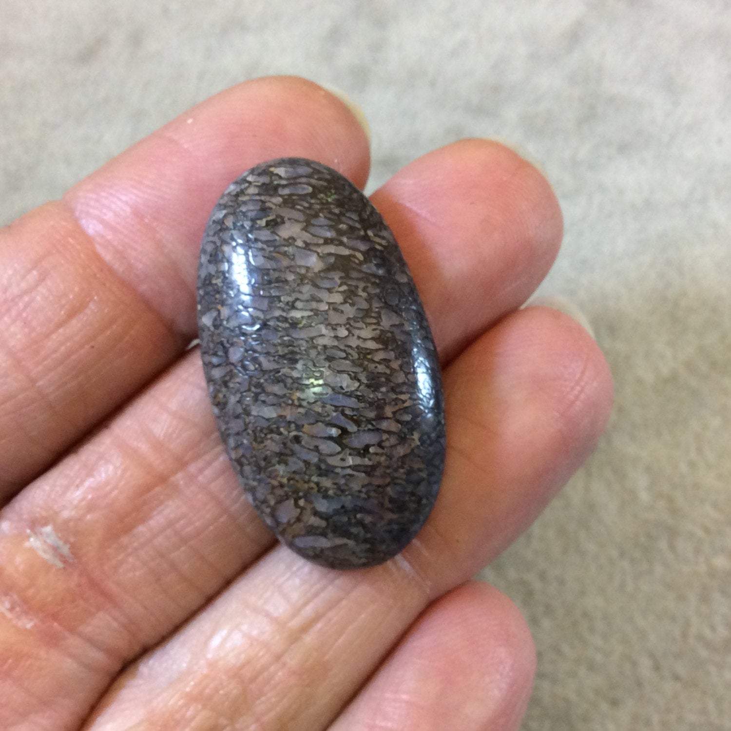 Petrified Dinosaur Bone Oblong Oval Shaped Flat Back Cabochon - Measuring 19mm x 34mm, 7mm Dome Height - Natural High Quality Gemstone