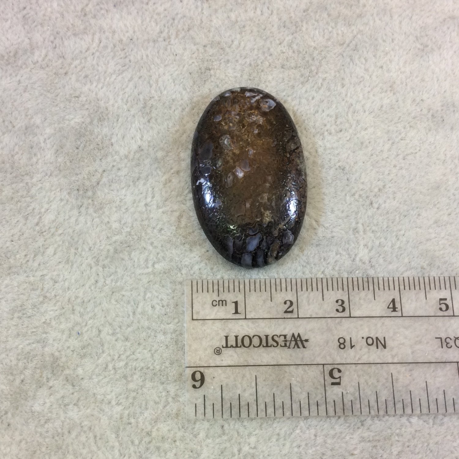 Petrified Dinosaur Bone Oblong Oval Shaped Flat Back Cabochon - Measuring 23mm x 38mm, 6mm Dome Height - Natural High Quality Gemstone
