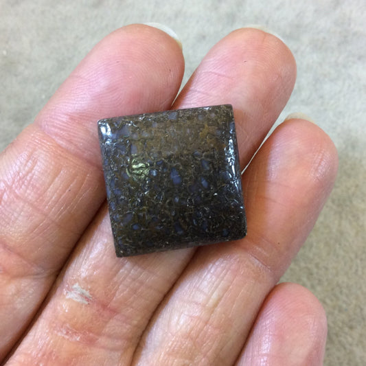Petrified Dinosaur Bone Square Shaped Flat Back Cabochon - Measuring 21mm x 22mm, 5mm Dome Height - Natural High Quality Gemstone